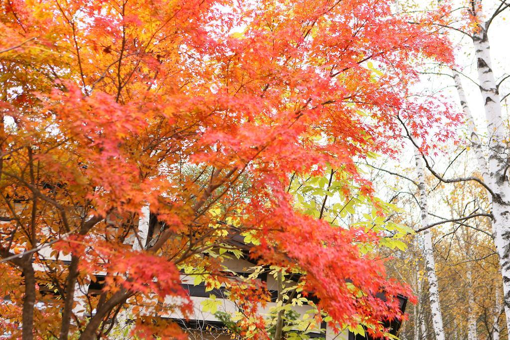 Konashi No Yu Sasaya 호텔 마츠모토 외부 사진